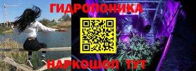 ГАЛЛЮЦИНОГЕННЫЕ ГРИБЫ Будённовск