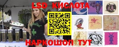 ГАЛЛЮЦИНОГЕННЫЕ ГРИБЫ Будённовск