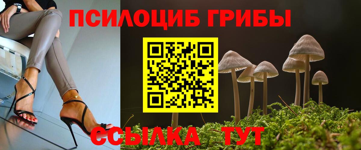 Галлюциногенные грибы Psilocybe Сертолово